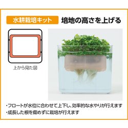 ヨドバシ Com アーテック 水耕栽培ユニット ベビーリーフミックス 理科教材 備品 通販 全品無料配達 ヨドバシ Com アーテック 水耕栽培ユニット ベビーリーフミックス 理科教材 備品 通販 全品無料配達