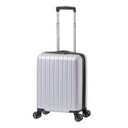 拡張ファスナーキャリー 29L/36L（拡張時） 旅行日数目安：1～2泊 TSAロック搭載 シルバー ALI-9327-17W