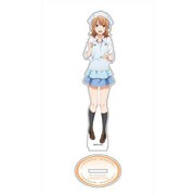 やはり俺の青春ラブコメはまちがっている。完 描き下ろし BIGアクリルスタンド 一色いろは エプロン Ver. [キャラクターグッズ]