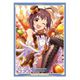 アイドルマスター シンデレラガールズ A3クリアポスター 脇山珠美 ちょこっと乙女 Ver. [キャラクターグッズ]