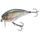R1313-RBG [3DR WAKE BAIT （F） 50MM]