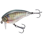 R1313-RBG [3DR WAKE BAIT （F） 50MM]