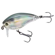 R1313-RGZS [3DR WAKE BAIT （F） 50MM]