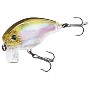 R1313-RRT [3DR WAKE BAIT （F） 50MM]