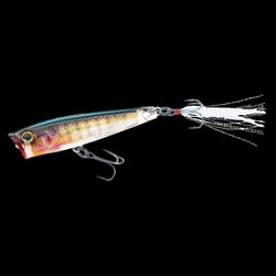 R1304-RBG [3DR POPPER （F）65MM]