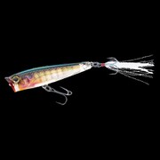 R1304-RBG [3DR POPPER （F）65MM]