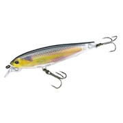 R1308-RGSN [3DR MINNOW （SP） 70MM]
