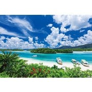 25-197s 日本の風景 石垣島の碧い海-沖縄 [ジグソーパズル めざせ！パズルの達人 300ピース（完成サイズ：26×38cm）]