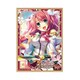 NEXTONガールズスリーブコレクションVol.094 真・恋姫 夢想 劉備・桃香 [トレーディングカード用品]