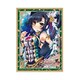 NEXTONガールズスリーブコレクションVol.096 真・恋姫 夢想 関羽・愛紗 ライブver [トレーディングカード用品]