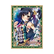 NEXTONガールズスリーブコレクションVol.096 真・恋姫 夢想 関羽・愛紗 ライブver [トレーディングカード用品]