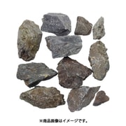 風山石 レイアウトセット 5kg