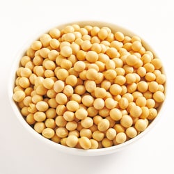 大豆の大豆 専用 ヨドバシ.com - ビオ・マルシェ 有機蒸し大豆 200g 通販【全品