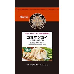袋入 カオマンガイシーズニング 10g