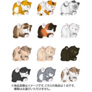 MY HOME CAT Series3 1個 [コレクショントイ]