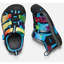 洋楽 kai-t kids 楽天市場】販売期間前 スーパーセール 9月 55％OFF｜【ブランド