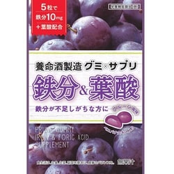 グミ×サプリ 鉄分＆葉酸 40g
