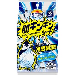 熱中対策 肌キンキンシート 大判シートで全身さっぱり 冷感 汗拭きシート 無香料 30枚 からだ用