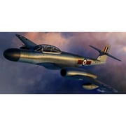 SWD48011 A.W.ミーティア NF.14 [1/48スケール プラモデル]