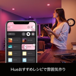 ヨドバシ.com - フィリップス PHILIPS PLH21CS [Hue フルカラー