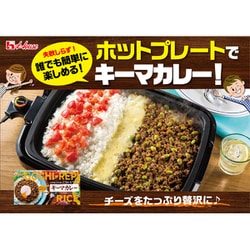 ヨドバシ.com - ハウス食品 ごちレピライス キーマカレー 145g 通販