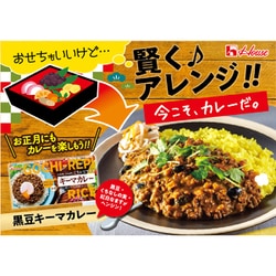 ヨドバシ.com - ハウス食品 ごちレピライス キーマカレー 145g 通販