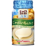 じっくりコトコト 冷製じゃがいものスープ