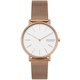 SIGNATUR レディース 38mm PGメッシュ 並行輸入品 2年保証 SKW2784