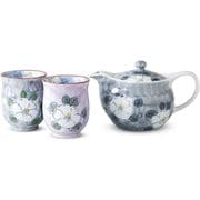一珍山茶花 S茶こし付ポット茶の間揃
