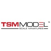 TSM430512 1/43 シボレー コルベット C8.R デイトナ24時間 2020 #3 コルベットレーシング [ダイキャストミニカー]
