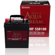 国産車 充電制御車対応バッテリー MF 55B19R(主な互換/40B19R/42B19R/50B19R/55B19R) メンテナンスフリータイプ MF55B19R