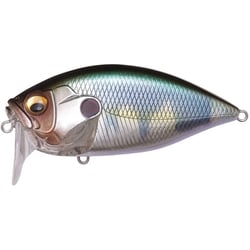 O.R.C BURNING SHAD（O.R.Cバーニングシャッド） 和銀ハスBS