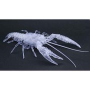 自由研究No.24 EX-3 いきもの編 アメリカザリガニ 透明 [プラモデル]