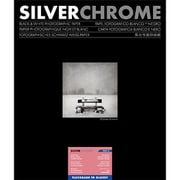 SILVERCHROME FLEXGRADE FB glossy 10x12インチ 25枚  フレキシグレードFBペーパー 433525
