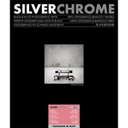 SILVERCHROME FLEXGRADE FB matt 8x10インチ 25枚  フレキシグレードFBペーパー 433533