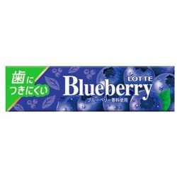 歯につきにくい ブルーベリーガム 9枚
