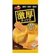 激厚チップス 濃厚チーズ味 40g