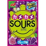 カメカメサワーズグレープ 45g