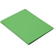 クリアファイル 20ポケット SOLID A4 アップル SLD-71-43