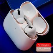 AirPods Pro用 ダストプルーフフィルム RM3591