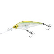 R1367-GSPS [HARDCORE SHAD 75SF75mm]
