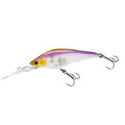 R1367-GSWS [HARDCORE SHAD 75SF75mm]