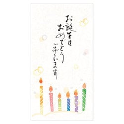 筆文字のし袋 誕生日 ローソク 5849120