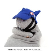 20999-80504-BL [ペット用アスカキャップ BLUE]