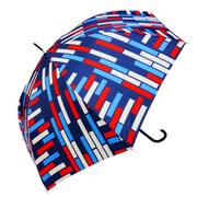 CJ-2006 [スタイリッシュUMBRELLA 58cm ジャンプ 長傘 レディース ブロック]