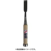 常造のみ 21mm