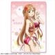 ソードアート・オンライン アリシゼーション 特大ブランケット デザイン 02 アスナ B [キャラクターグッズ]
