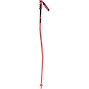 HERO GS-SG RDH1010 115cm 2本セット [スキー ストック レーシング]