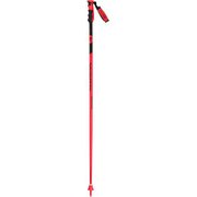 HERO GS RDI1000 125㎝ 2本セット [スキー ストック レーシング]