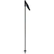 ELECTRA PREMIUM CARBON RDJ5000 BLUE 110cm 2本セット [スキー ストック レディース]